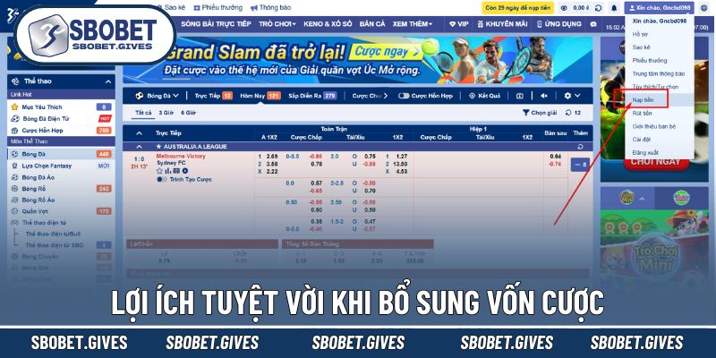 Khám phá vai trò của quy trình nạp tiền SBOBET
