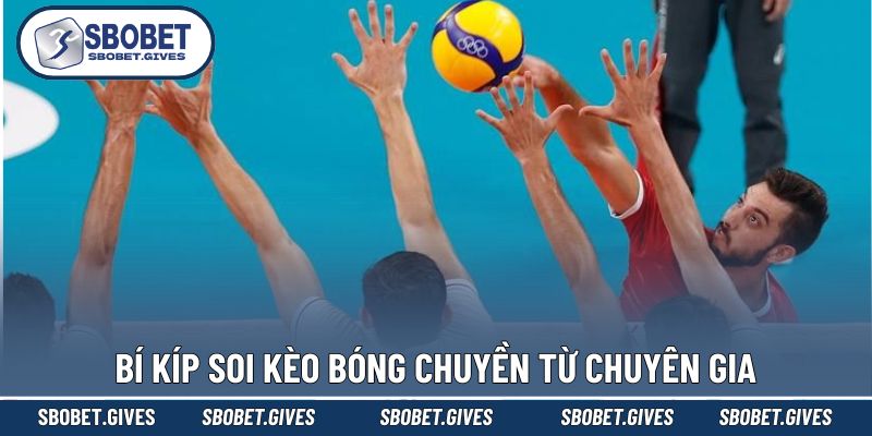 Cẩm nang dự đoán kèo cược bóng chuyền