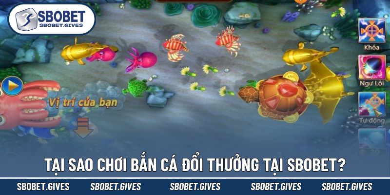 Lý do nhiều người thích tham gia bắn cá đổi thưởng